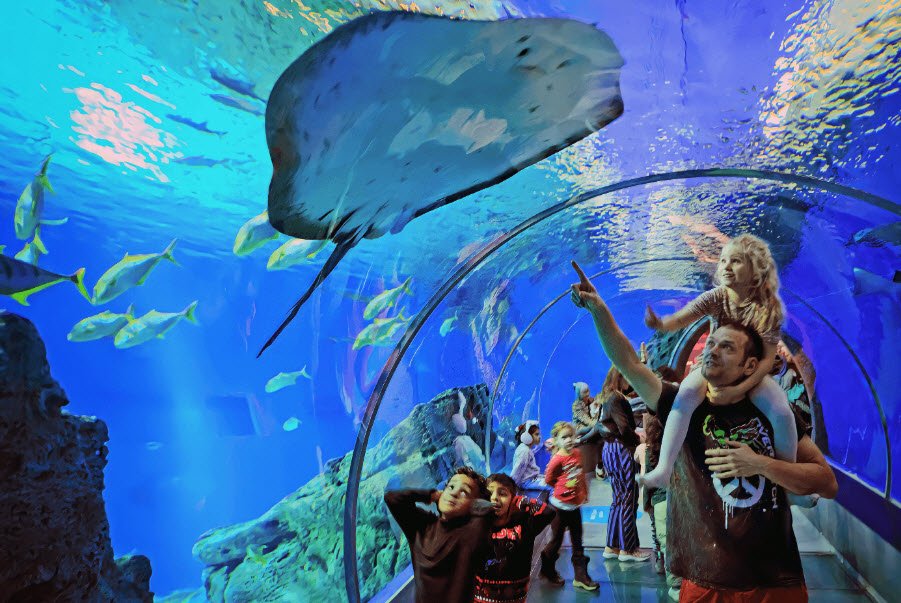 National Aquarium Denmark (Den Blå Planet), Kastrup, near Copenhagen, Denmark